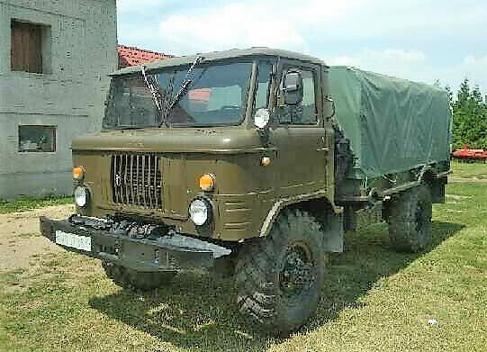 Шишига уникальный экземпляр с военной консервации