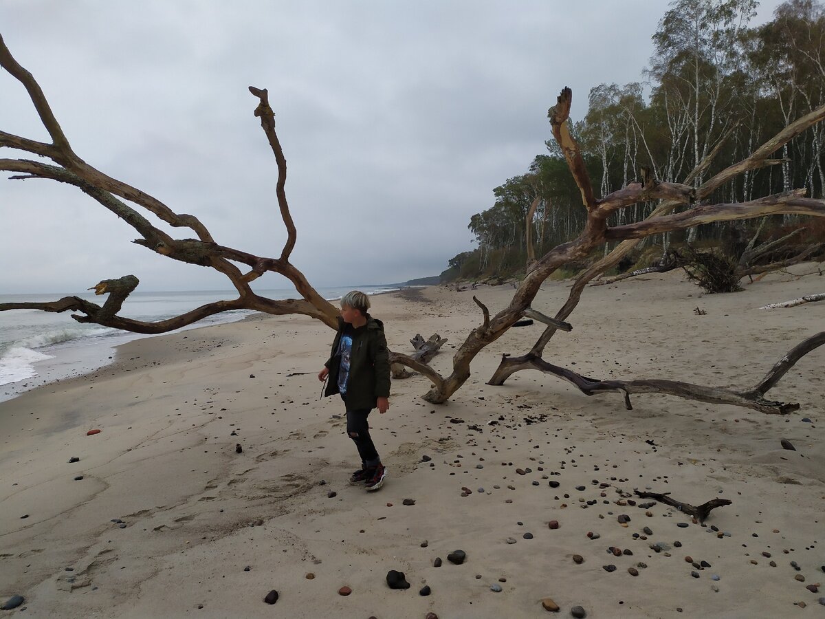 Куршская коса. По моему мнению, так должен выглядеть рай: чистое море, замечательный пляж, море и лес! Фото из личного архива.