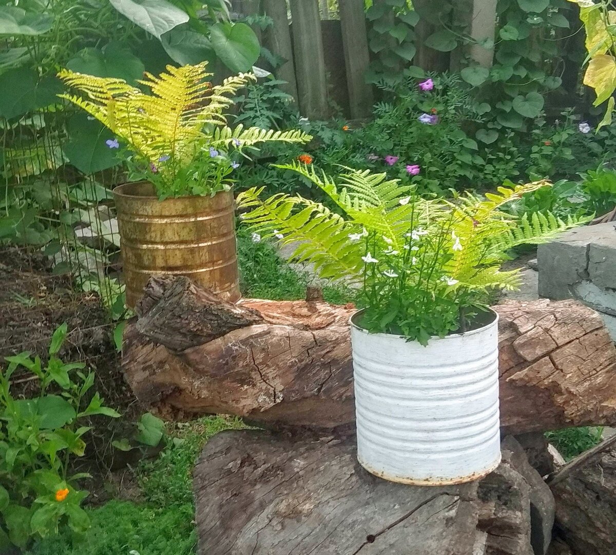 Железные банки и остатки старого абрикоса создали композицию и хорошо дополнили друг друга 