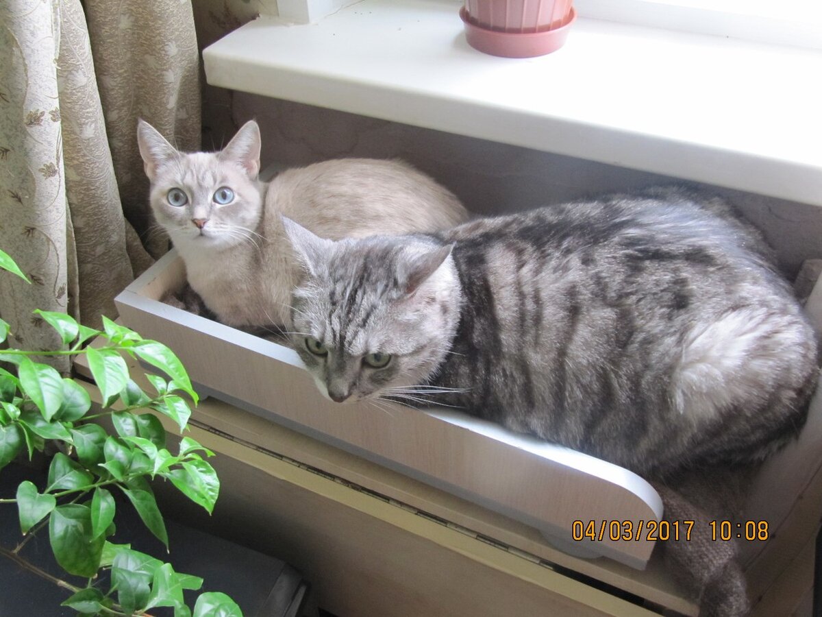 Бильбо и Лилу