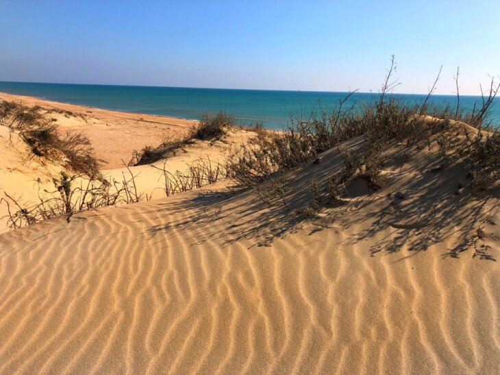 Фото из интернета. Черноморские дюны под Анапой