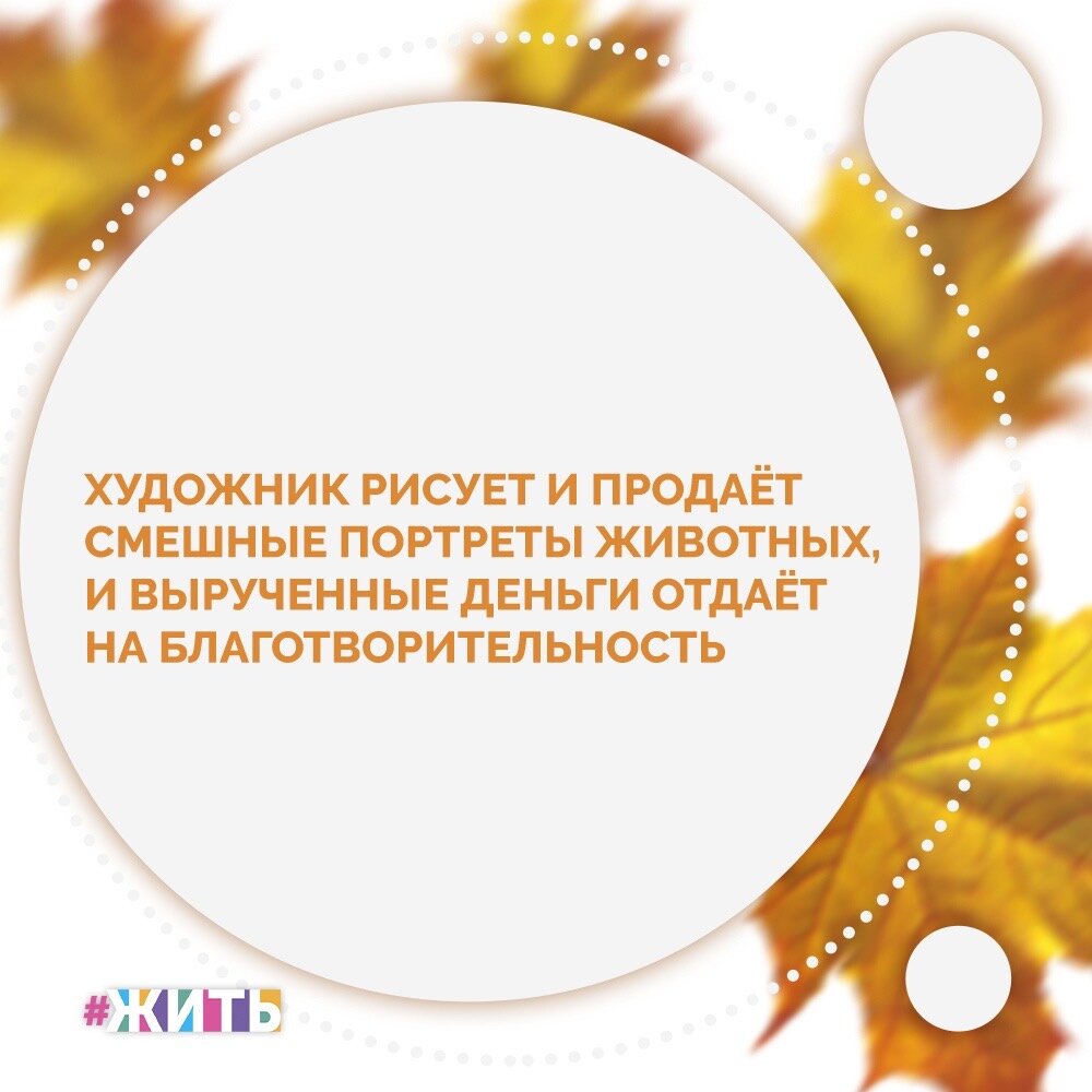 Художник рисует забавные картинки с животными, собирая при этом деньги на благотворительность☝️

Раньше Фил никогда не рисовал на заказ, да и художником не был, но стал очень популярен в сети после того, как начал комично изображать животных☺️

Все началось с того, что он в шутку нарисовал пару мемных животных и опубликовал на странице Фейсбук в с подписью "Продаю!". Ему сразу начали писать люди, желая заполучить смешную зарисовку со своим животным. С этих пор он и стал заниматься портретами животных😊

Теперь он регулярно делает смешные эскизы, а люди перечисляют средства с картин на нужды благотворительного фонда😌

Портреты животных и правда очень веселые. Хотели бы приобрести для своего любимого питомца такой портрет?

#жить #проектжить #животные