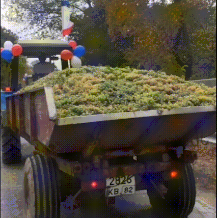 Праздник урожая в Крыму