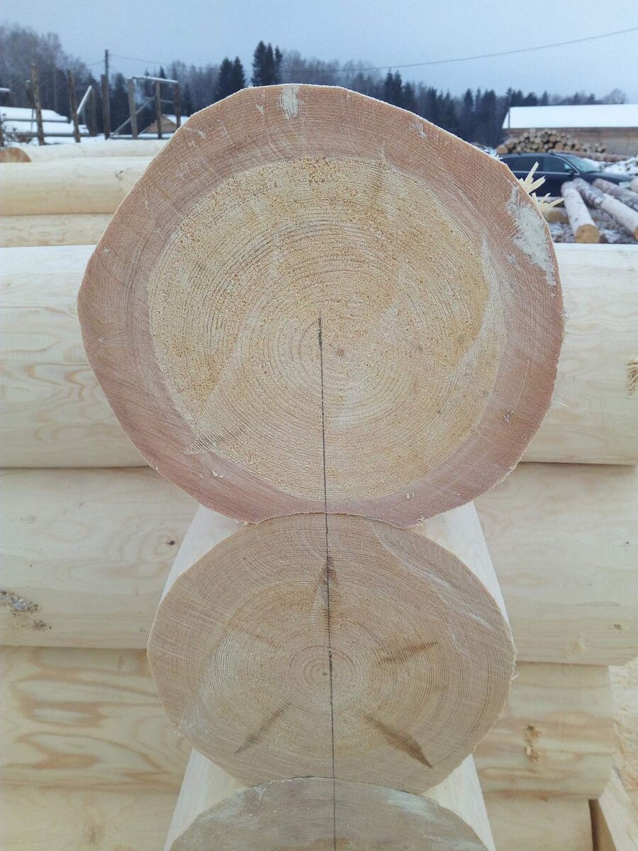 "лунный паз"