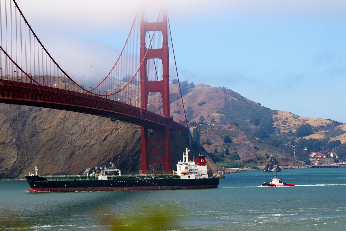 Фото DtheDelinquent / pixabay.com