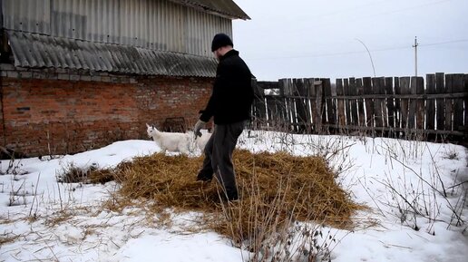 В нашем хозяйстве сломался водопровод, две лестницы, нас затопило