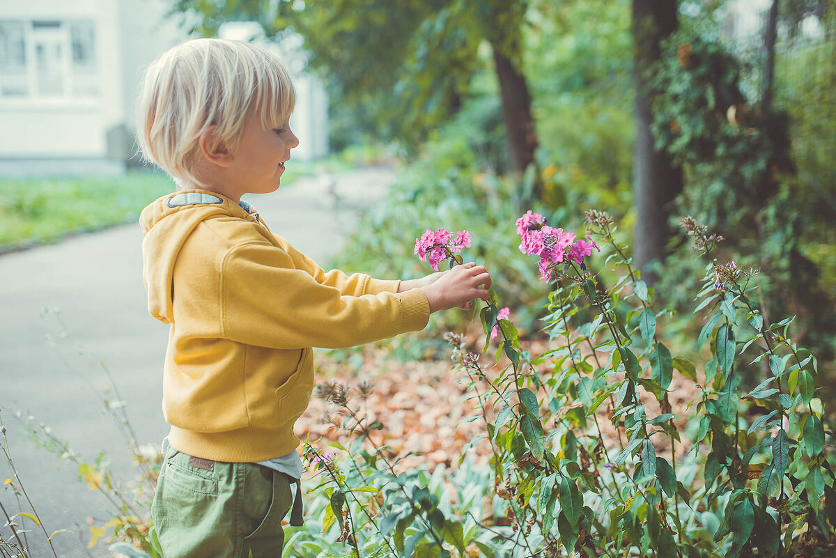 Пермакультура в педагогике | Российский Центр Пермакультуры Хольцера | Дзен