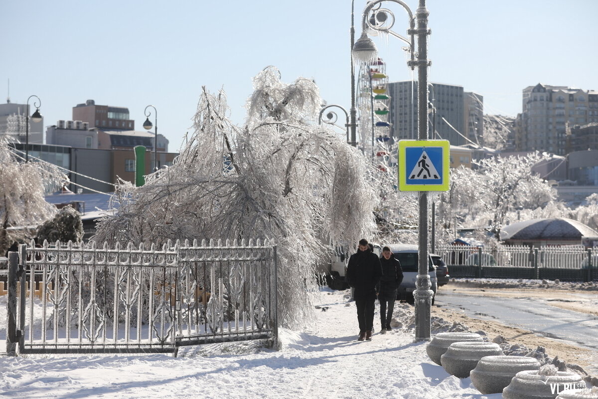 Картина на утро и снег и ледяные деревья