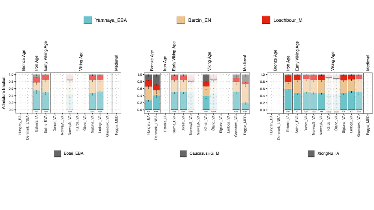 Новые доказательства связи оспы и викингов