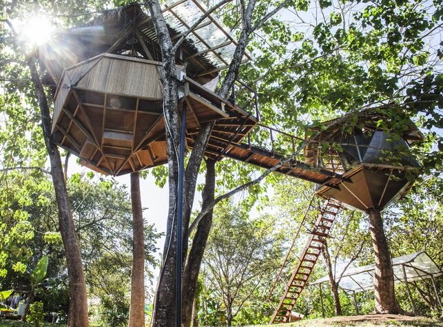 Дома на деревьях в Коста-Рике