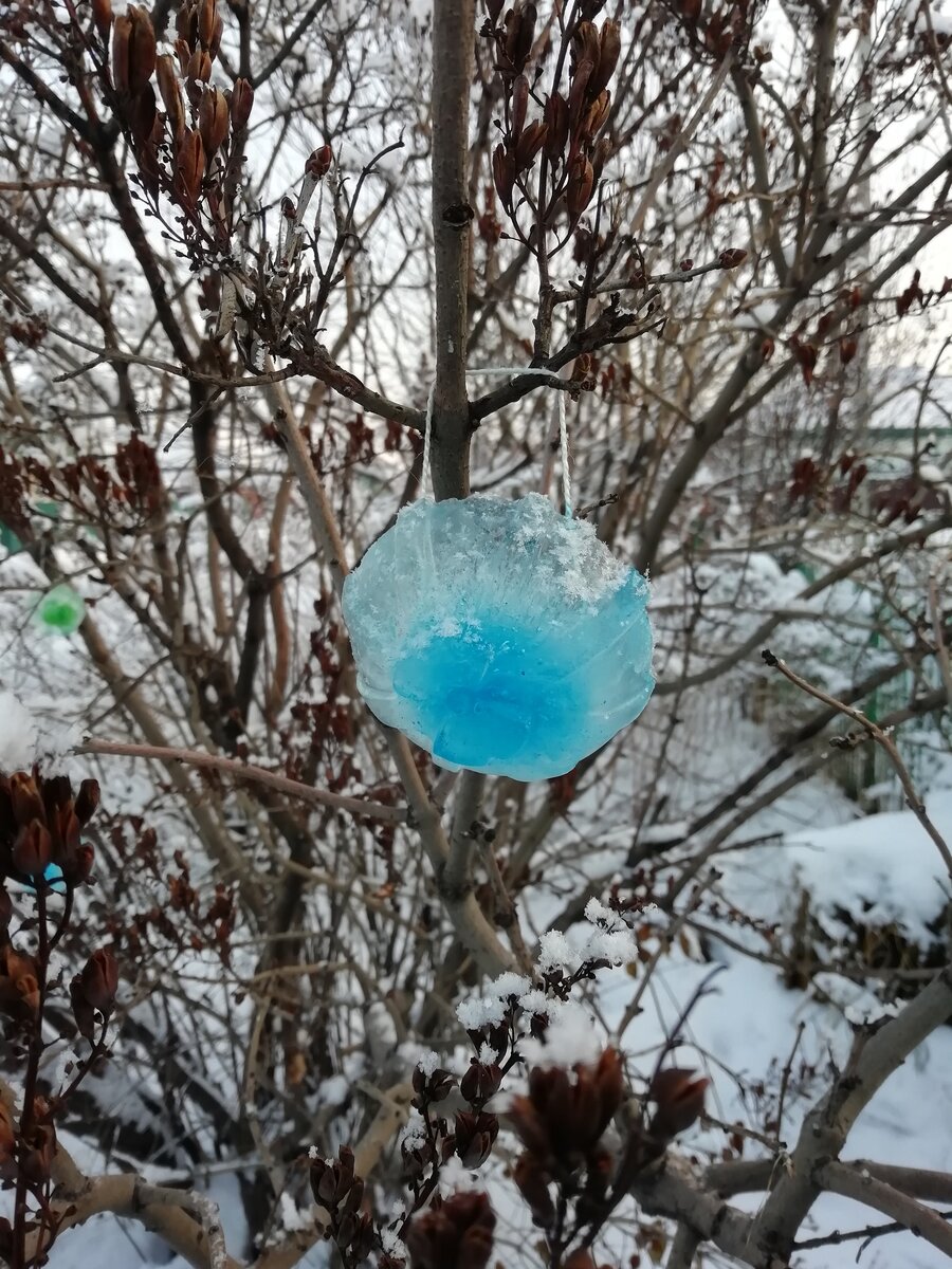 Личное фото. Так мы украсили сирень у дома. Силиконовые формы для выпечки кексов справились с задачей. 