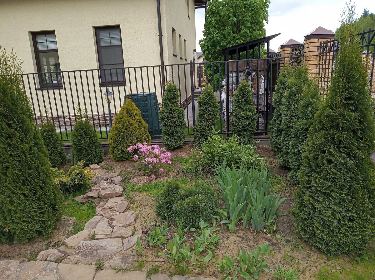 Из личного архива, май 2020 года. Подпорная стенка с плавным понижением к уровню отмостки.