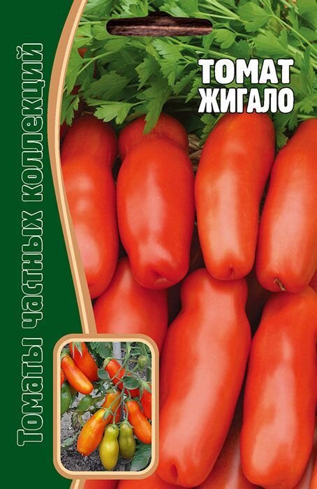 помидоры жигало казанова. сорт помидор жигало. помидоры казанова и жиголо. томат жигало характеристика и описание сорта отзывы. сорт помидор жигало.
