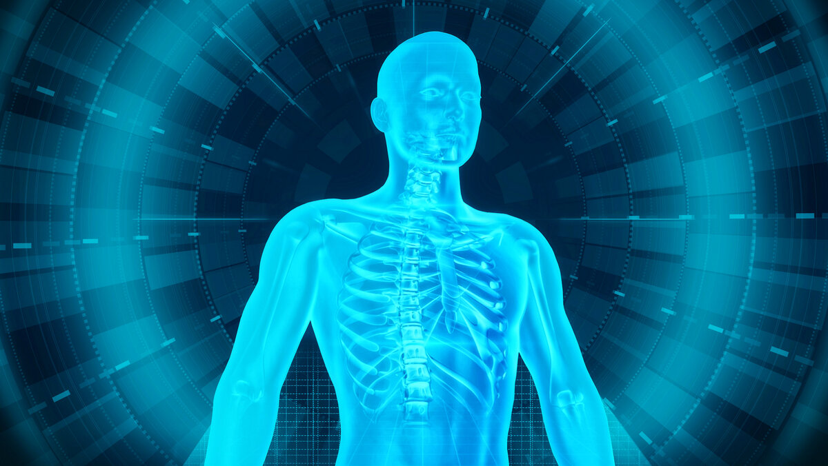 Фото из открытых источников Яндекса