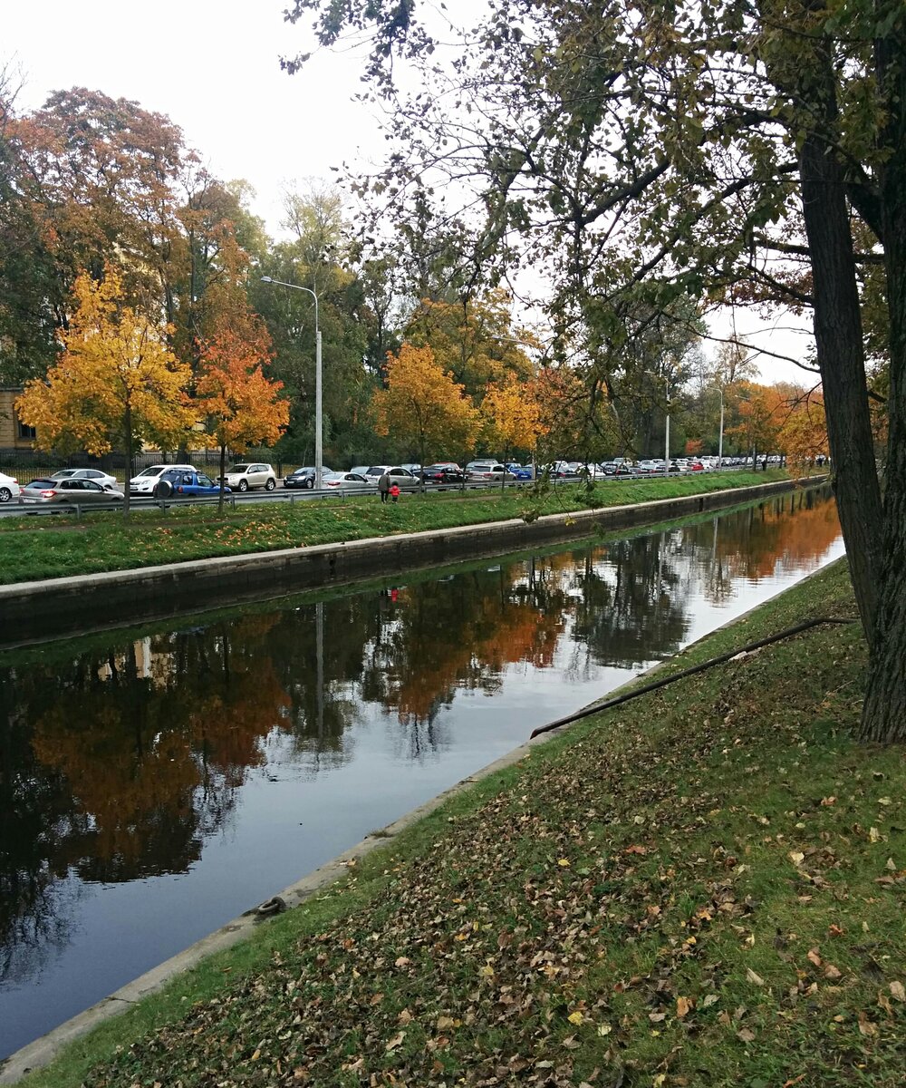 Река Карповка, сентябрь 2016.