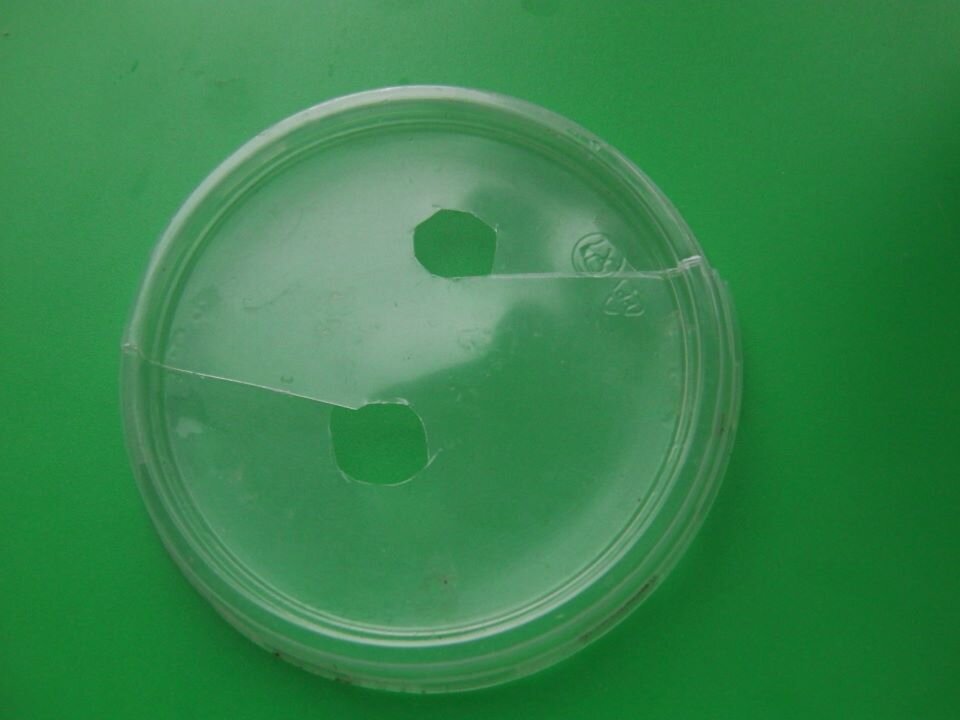 Делаем в крышке прорези. Фото автора