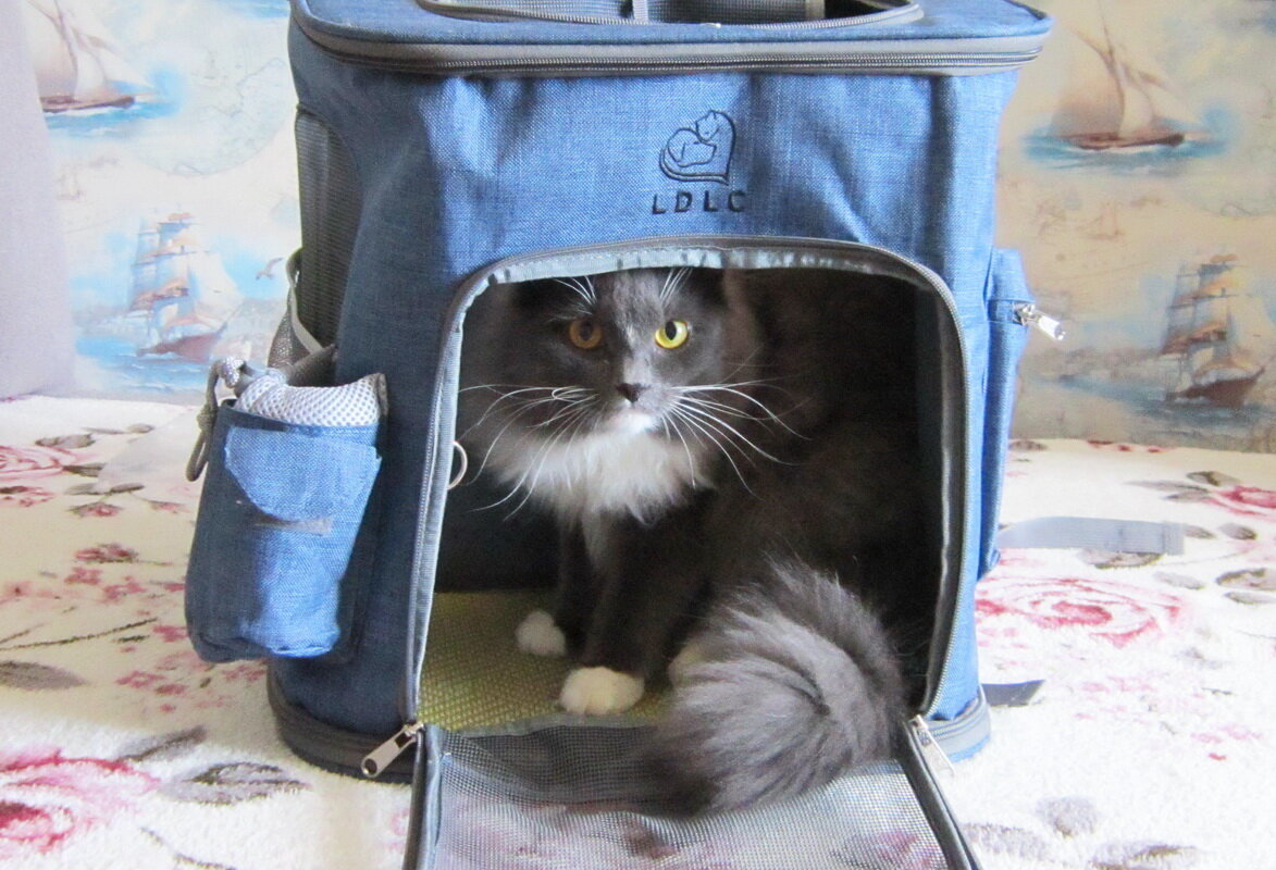 Все фотографии к этой публикации - из моего архива