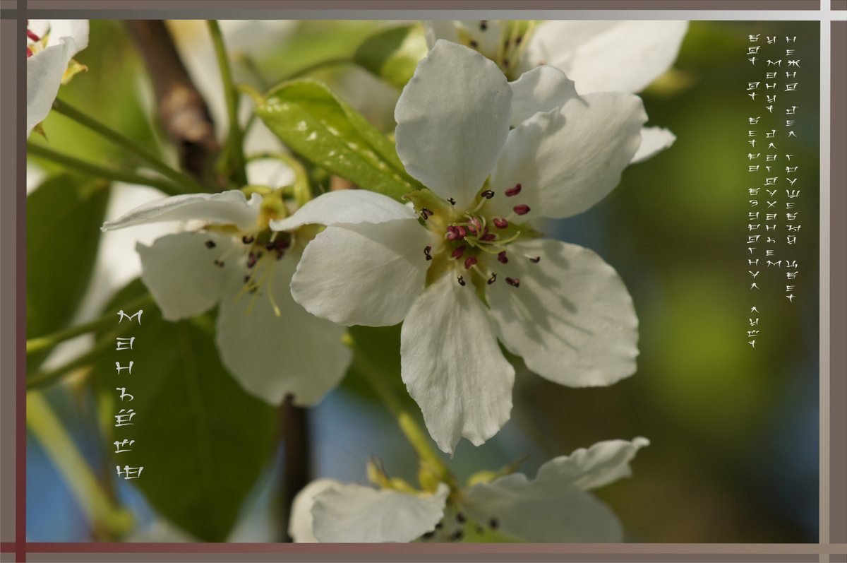 фото и обработка автора