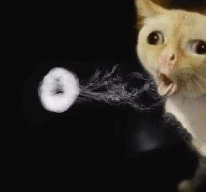 Классические кольца и правильное положение рта