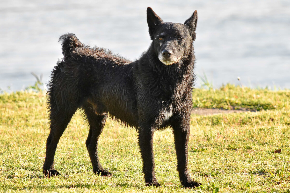 Источник: pixnio.com