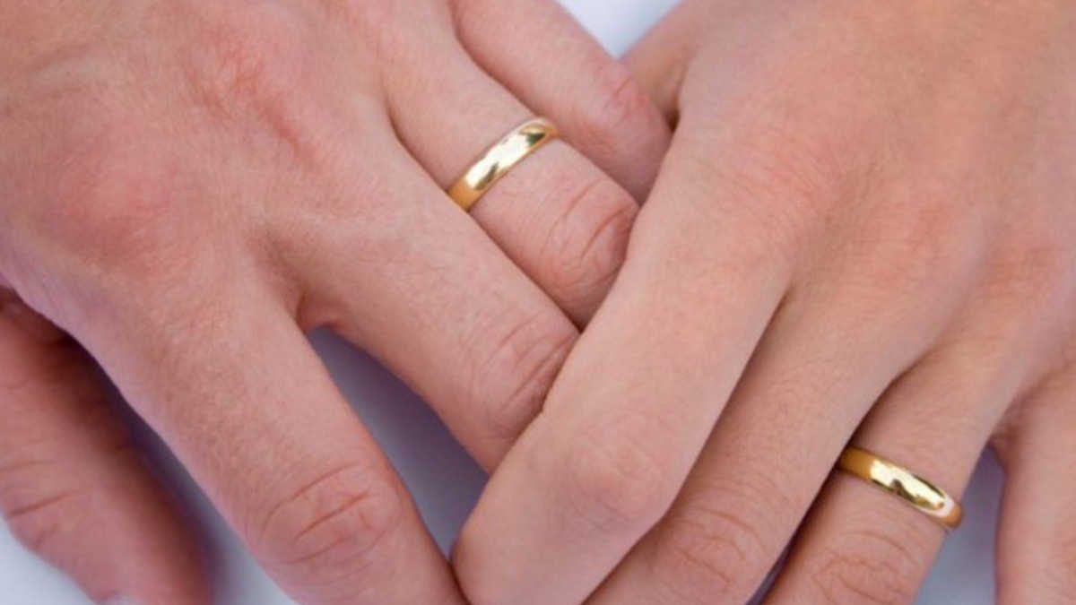 Фото из Яндекс картинки бесплатно