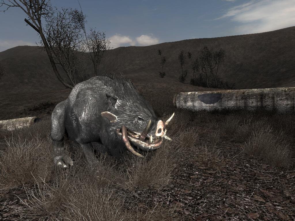 изображение из Яндекса