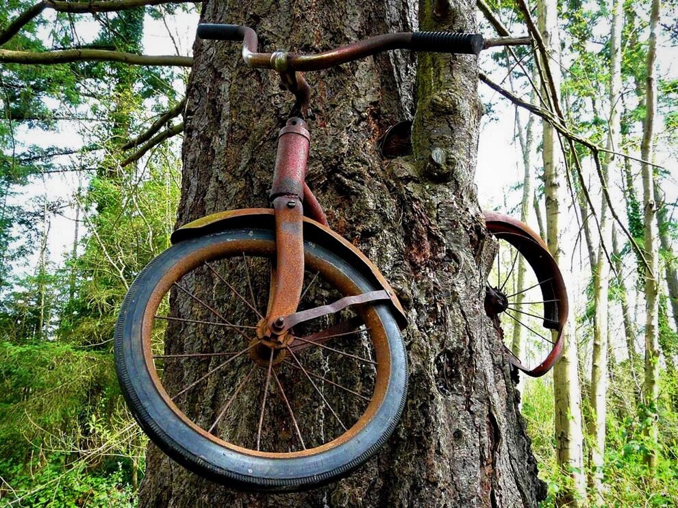 Фото из открытых источников