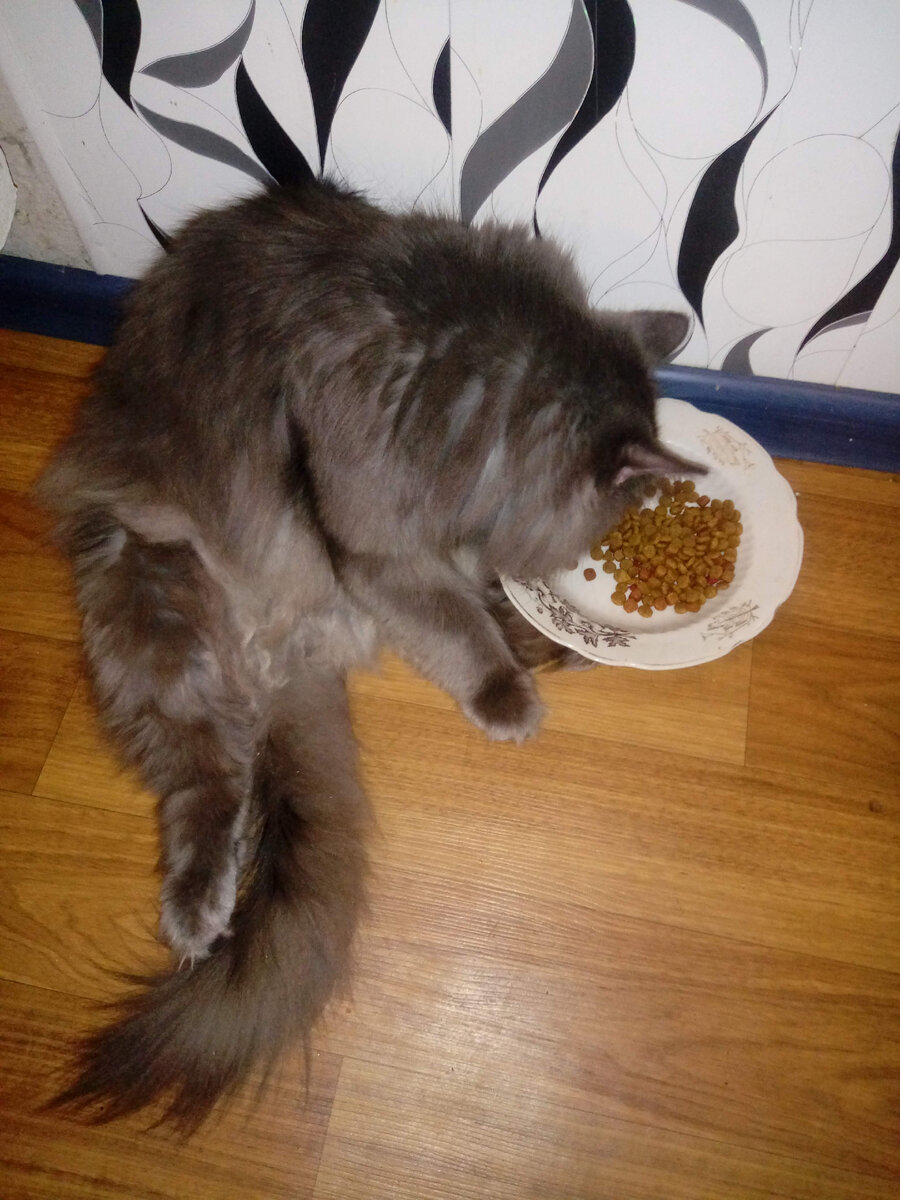 За завтраком беды ничего не предвещало