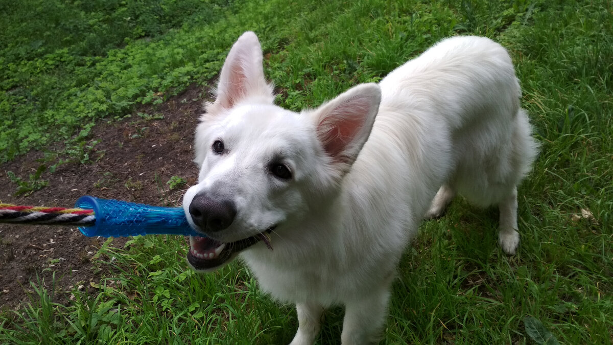 Палочка с верёвочкой