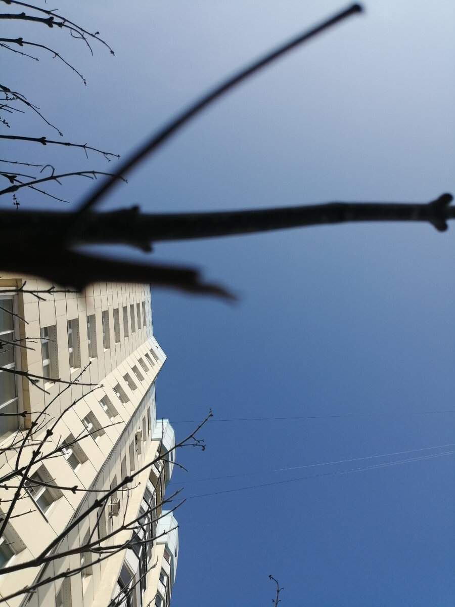 Фото представителя канала 