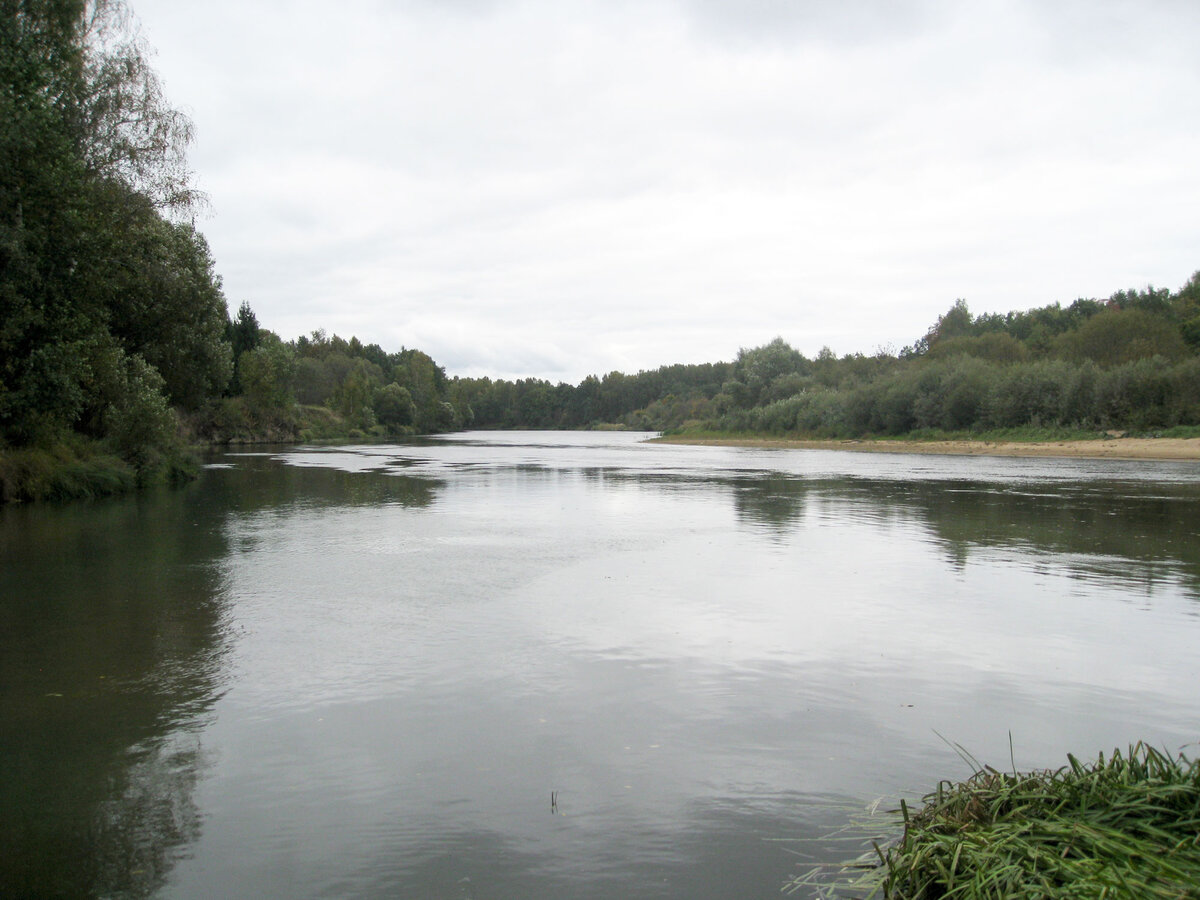 Чуть правее. В правом нижнем углу видна травка, которая каждый раз мешала выводить рыбу