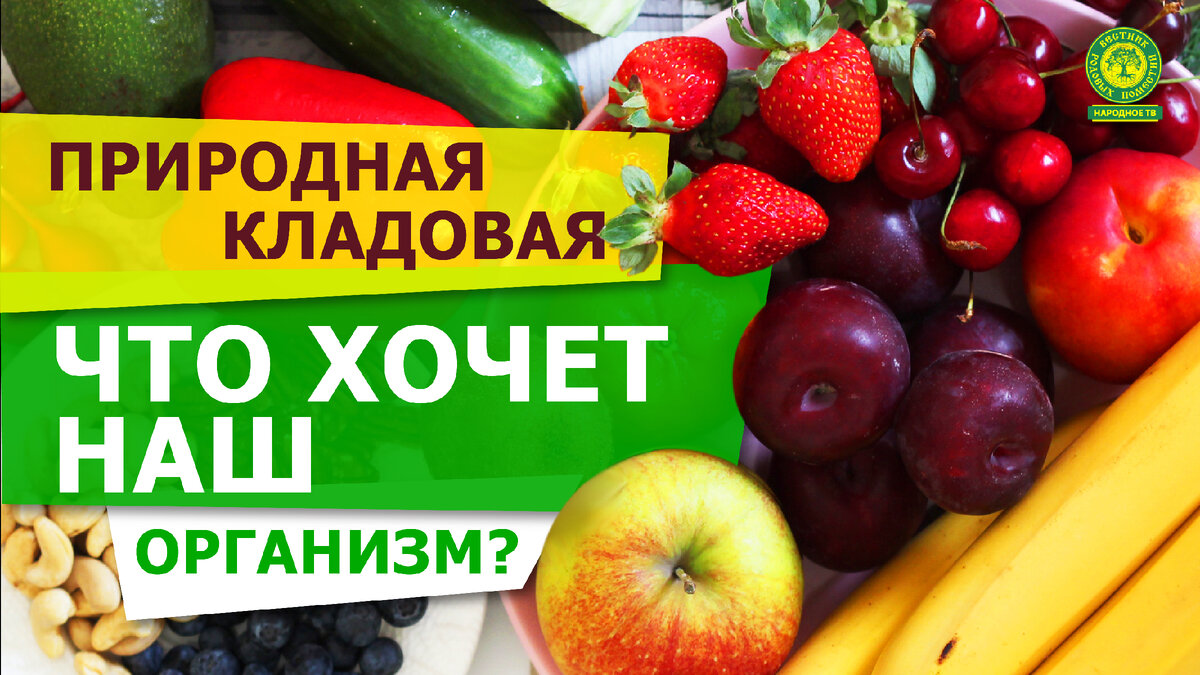 Что хочет наш организм?