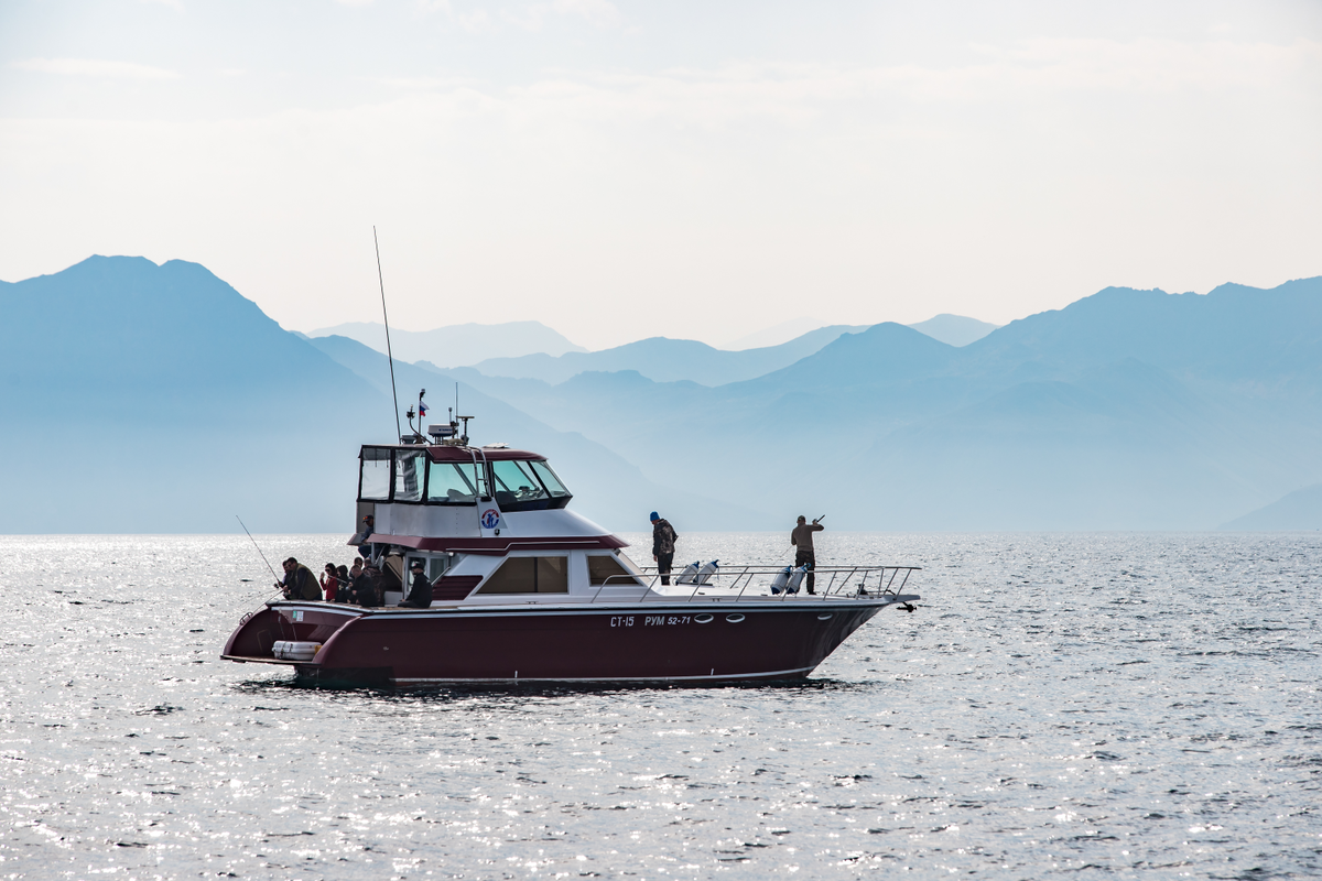 Что можно поймать на удочку в Тихом океане. Показываю улов за час ...