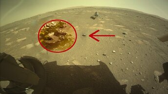 Снимок с Марса потряс ученых - объект похожий на существо. Марсоход Curiosity и Шампо