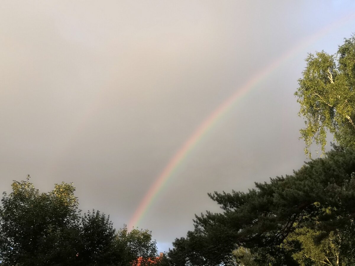 Двойная радуга - до сих пор радуюсь, как ребенок, когда вижу такое чудо на небе! 