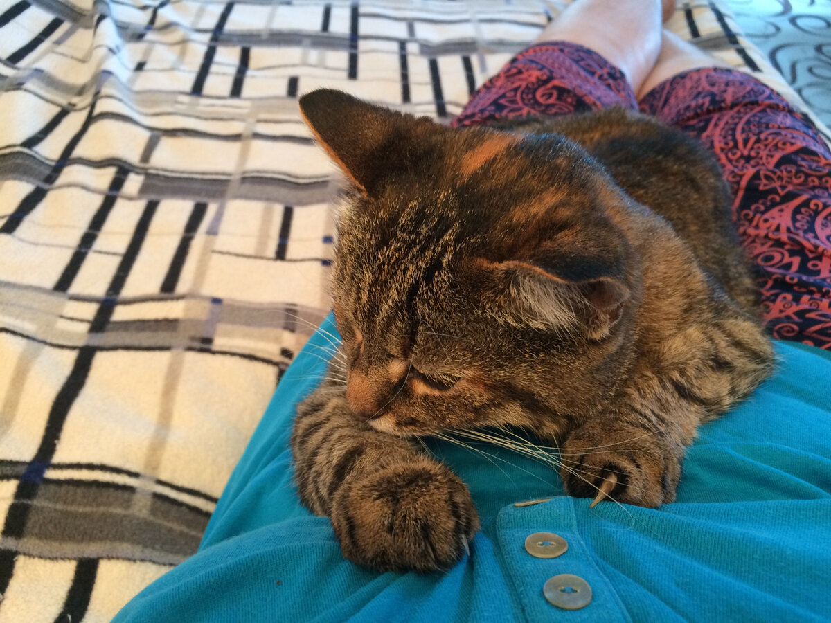 Месяц назад. Фото автора