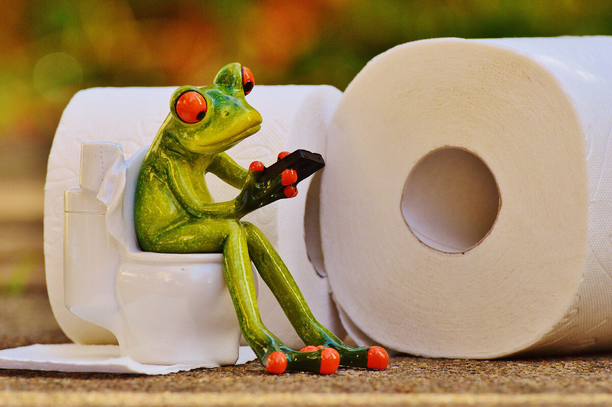 туалетная жаба. туалет снится общественный. к чему снится сходить в туалет. кот в туалете. унитаз лягушка с туалетной бумагой.