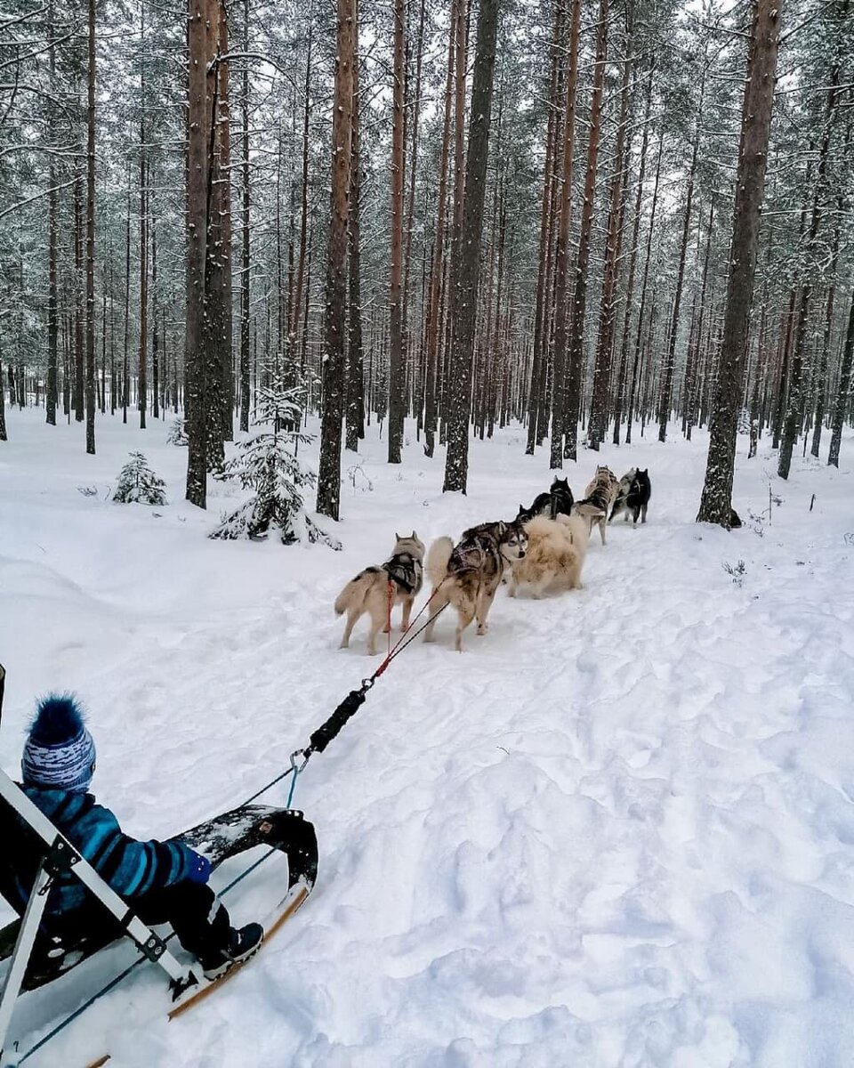 В программе финские сани, снежные байки, собачьи упряжки и гоночные карты Не всегда сугробы вызывают огорчение у горожан.-2-3