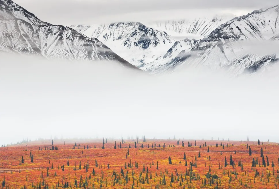 Фото: Fortunato Gatto, tpoty.com