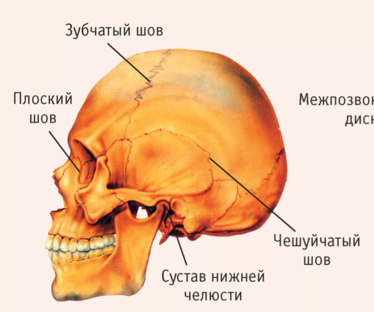 Боль в коленном суставе