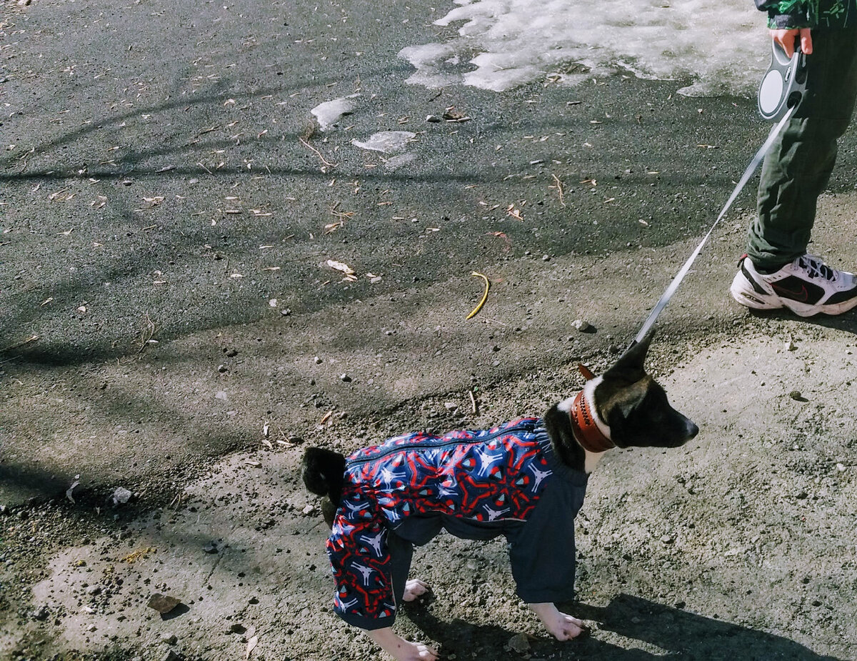 Первая прогулка Фарго