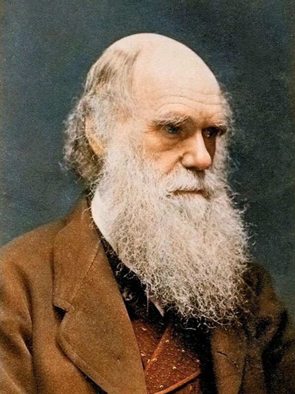 Источник картинки, сайт - https://clck.ru/eq3ey
