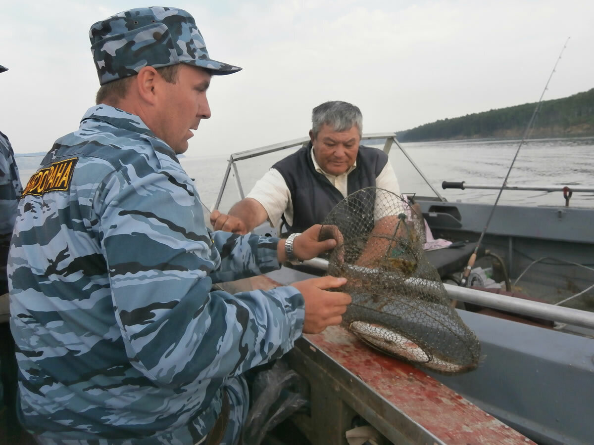 На рыбалке надо знать свои права и обязанности! Фото из открытых источников "Яндекс картинки"