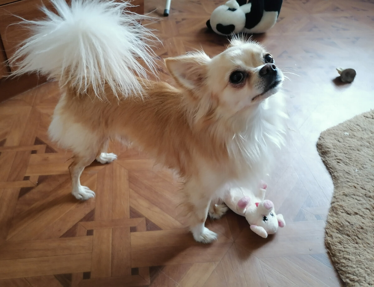 Джоник, сегодня утром