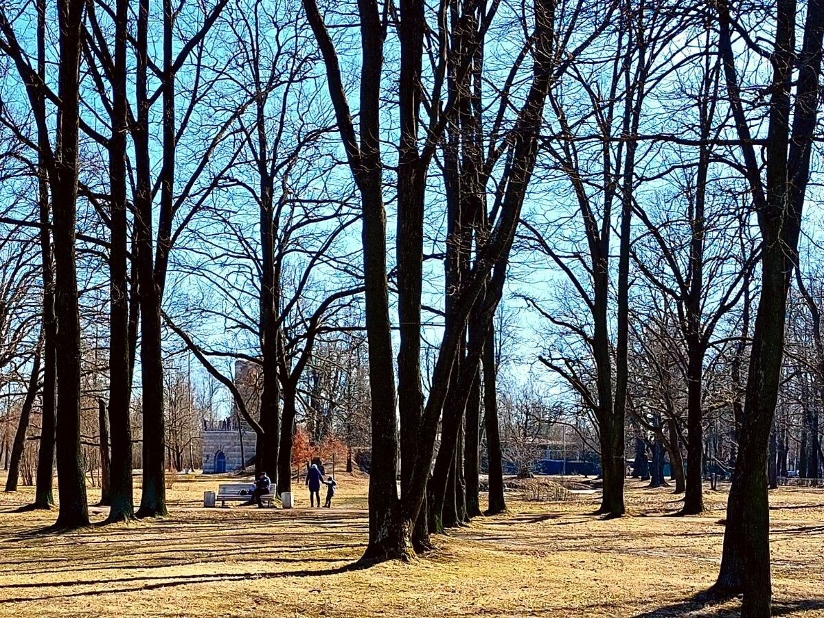 Орловский парк