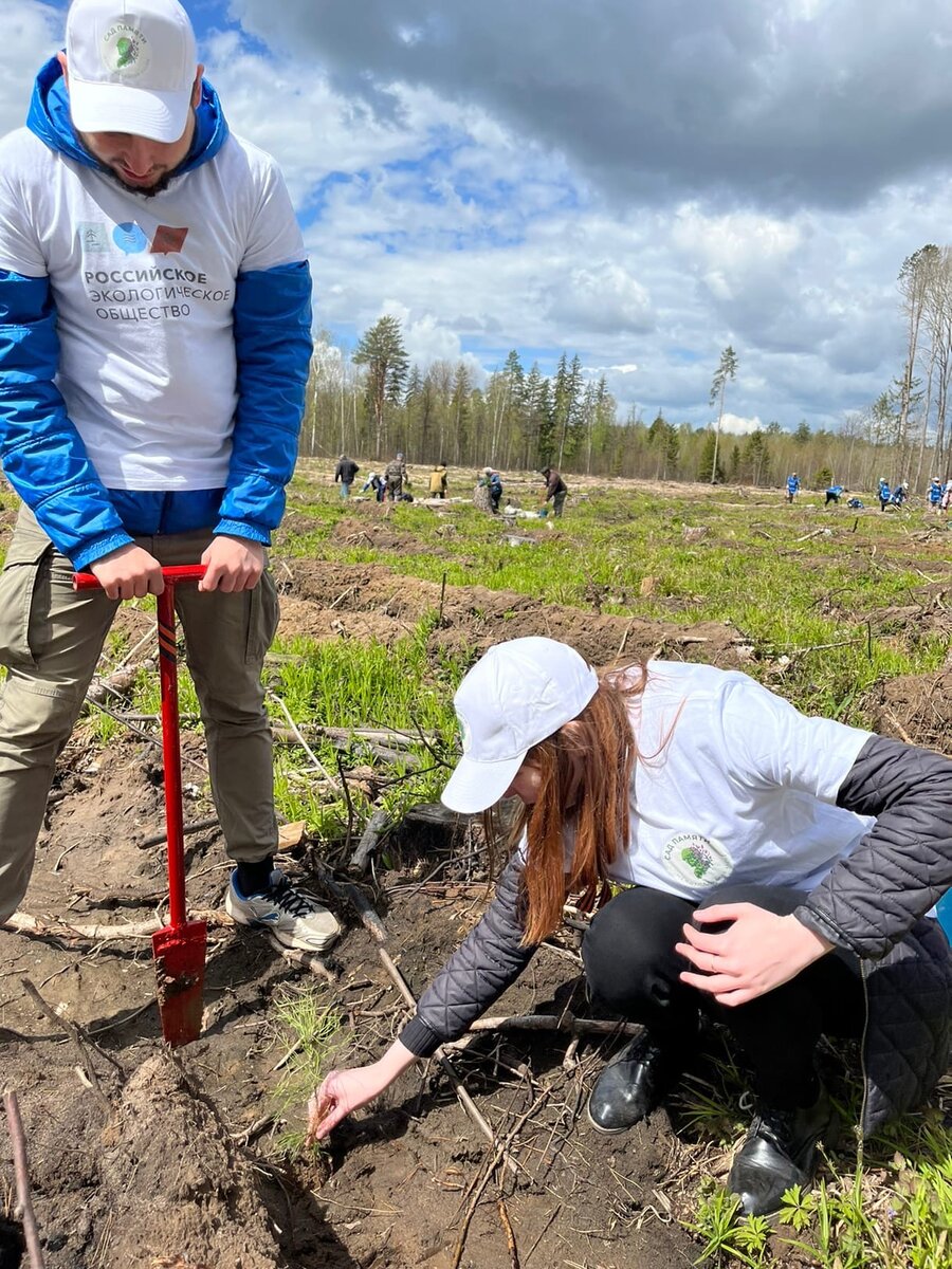 Экологическое общество первое. Экология картинки. Экологическую общество. Охрана окружающей среды. Экологическую общество.