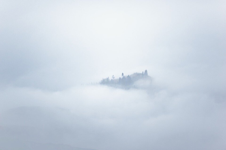     Фото: pexels.com