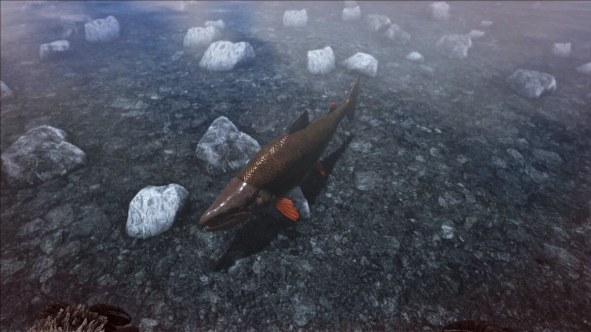 Кадр из ARK: Survival Evolved - Саблезубый лосось