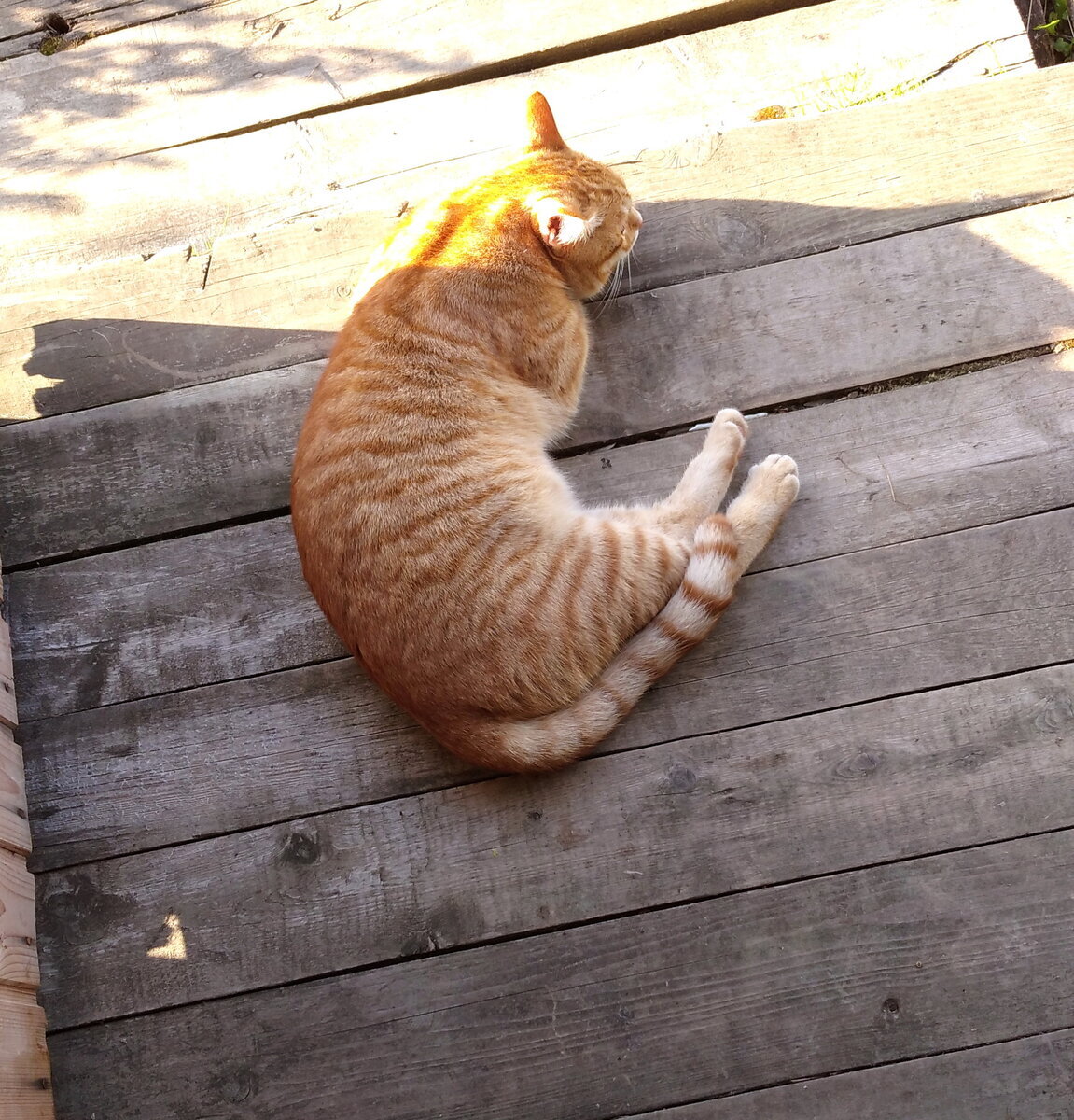 Личное  фото