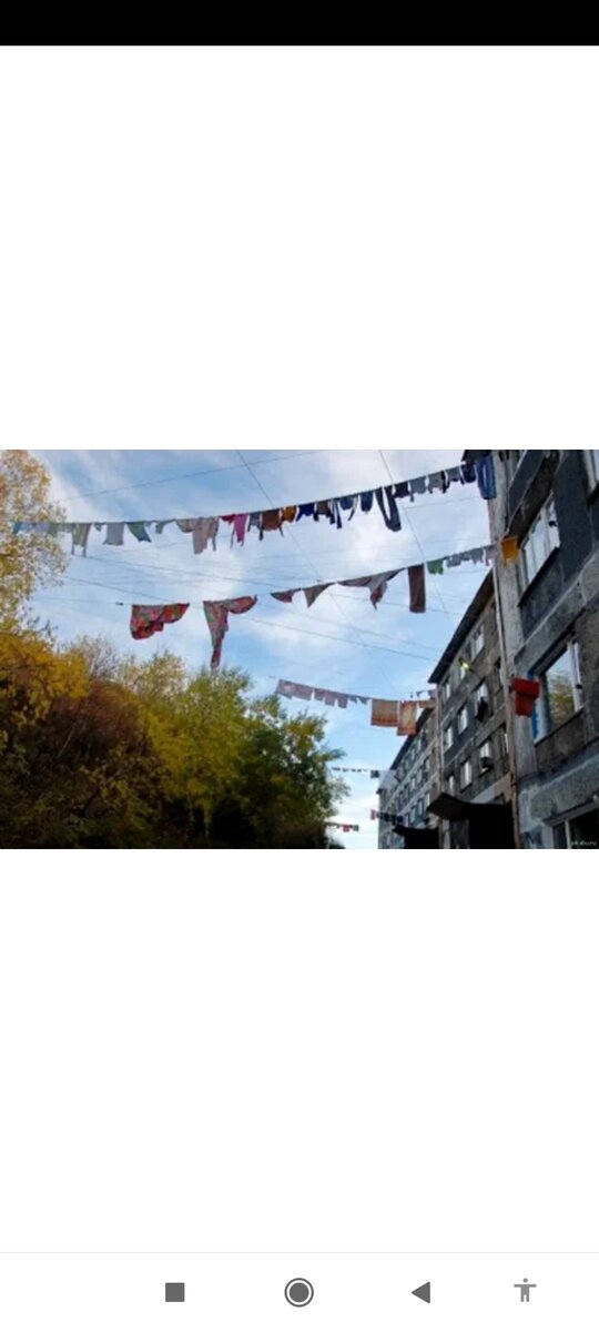 Фото из свободного источника. 